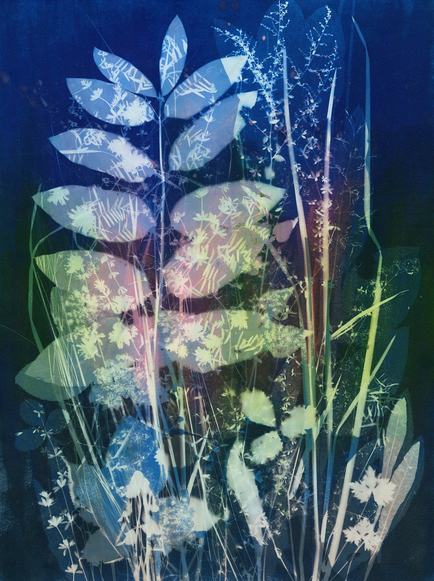 Lucie Wellner - Field Composition 2 matted and framed