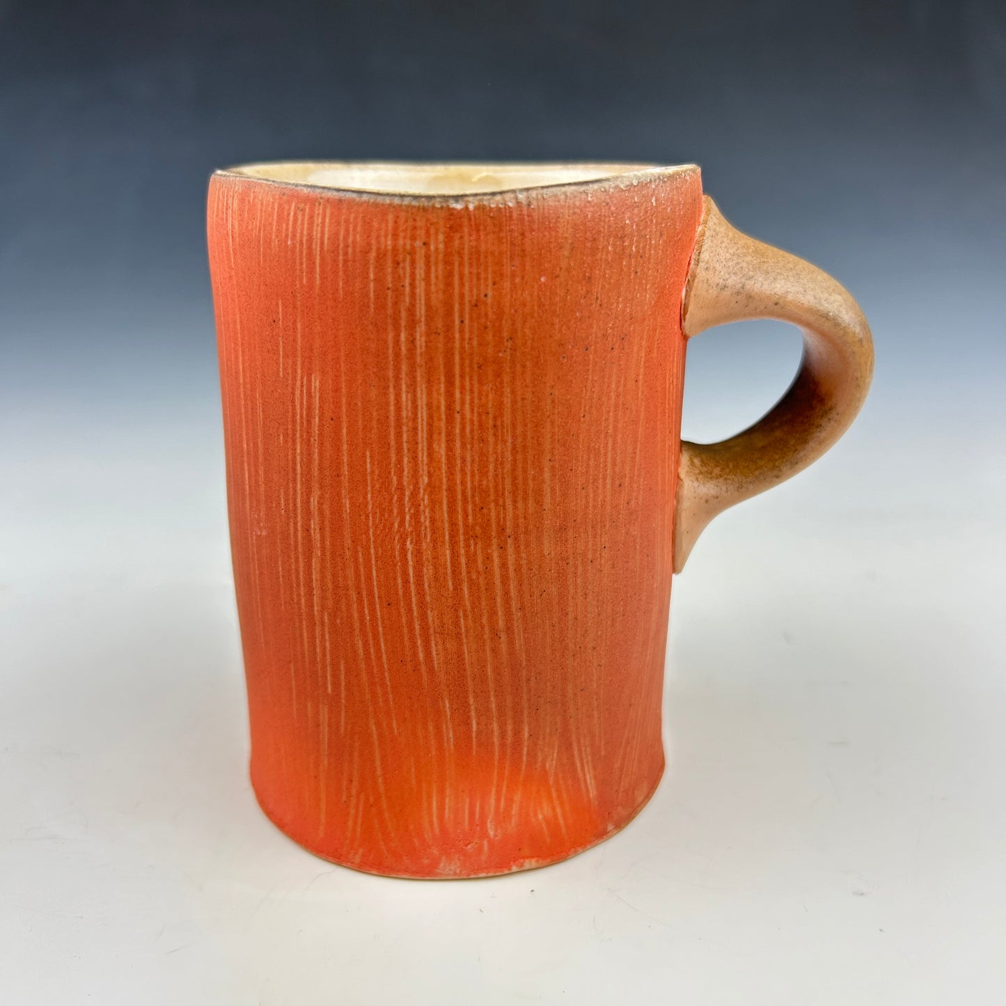 Simon Levin - MUG #2