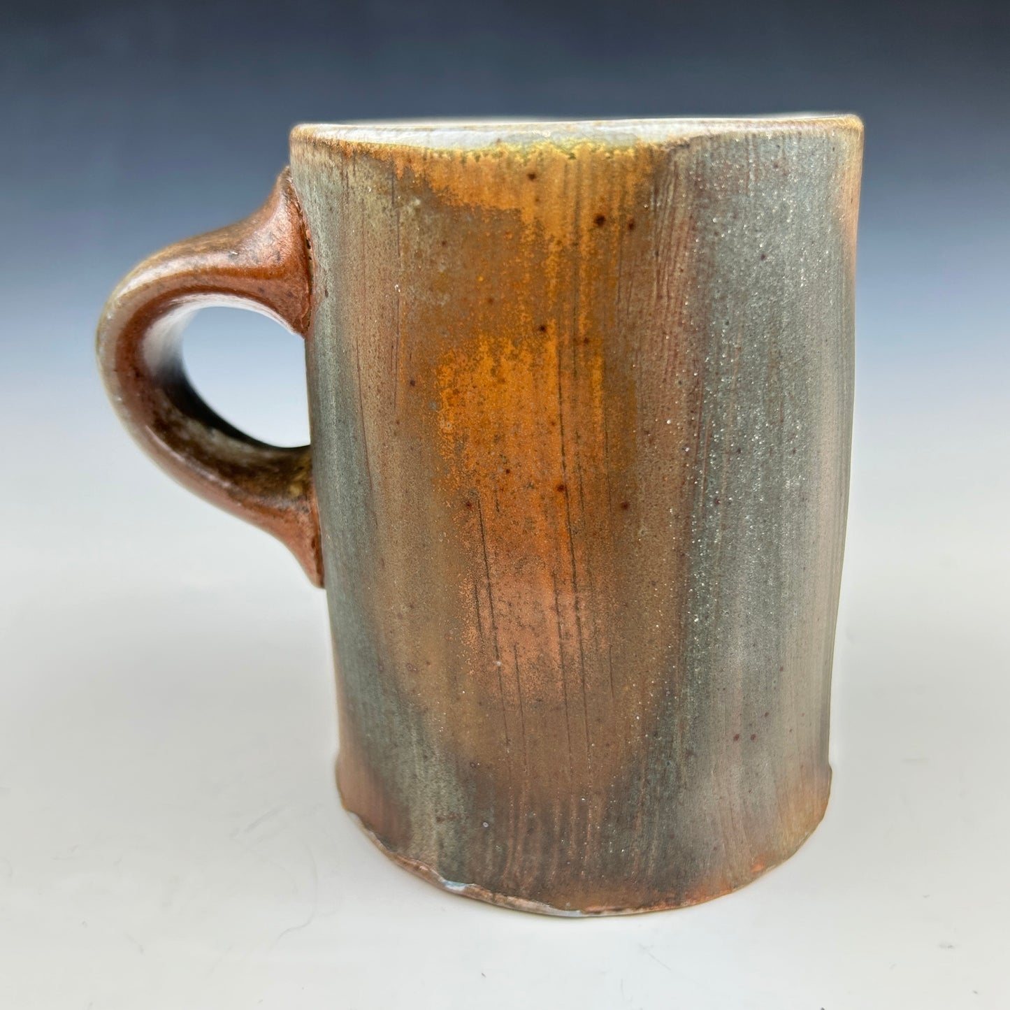 Simon Levin - MUG #4