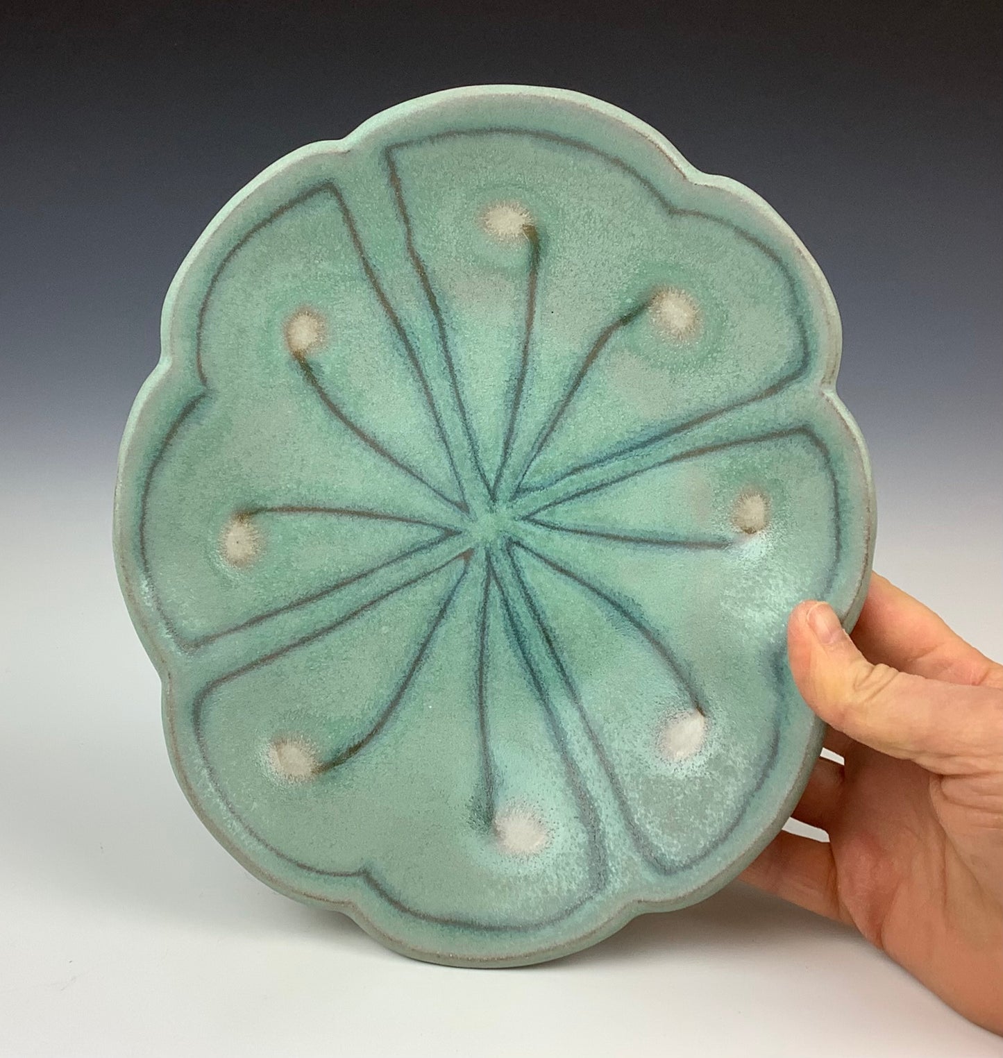 Ruth Easterbrook - Seed Plate #20