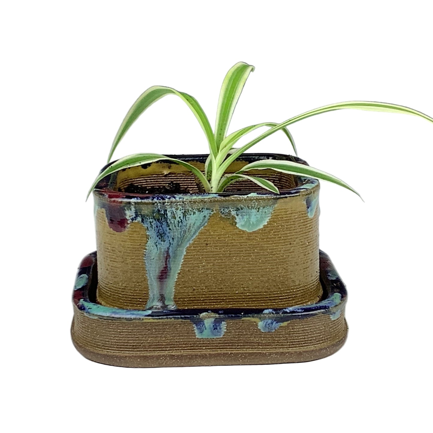 Matt Mitros - Short Planter #146