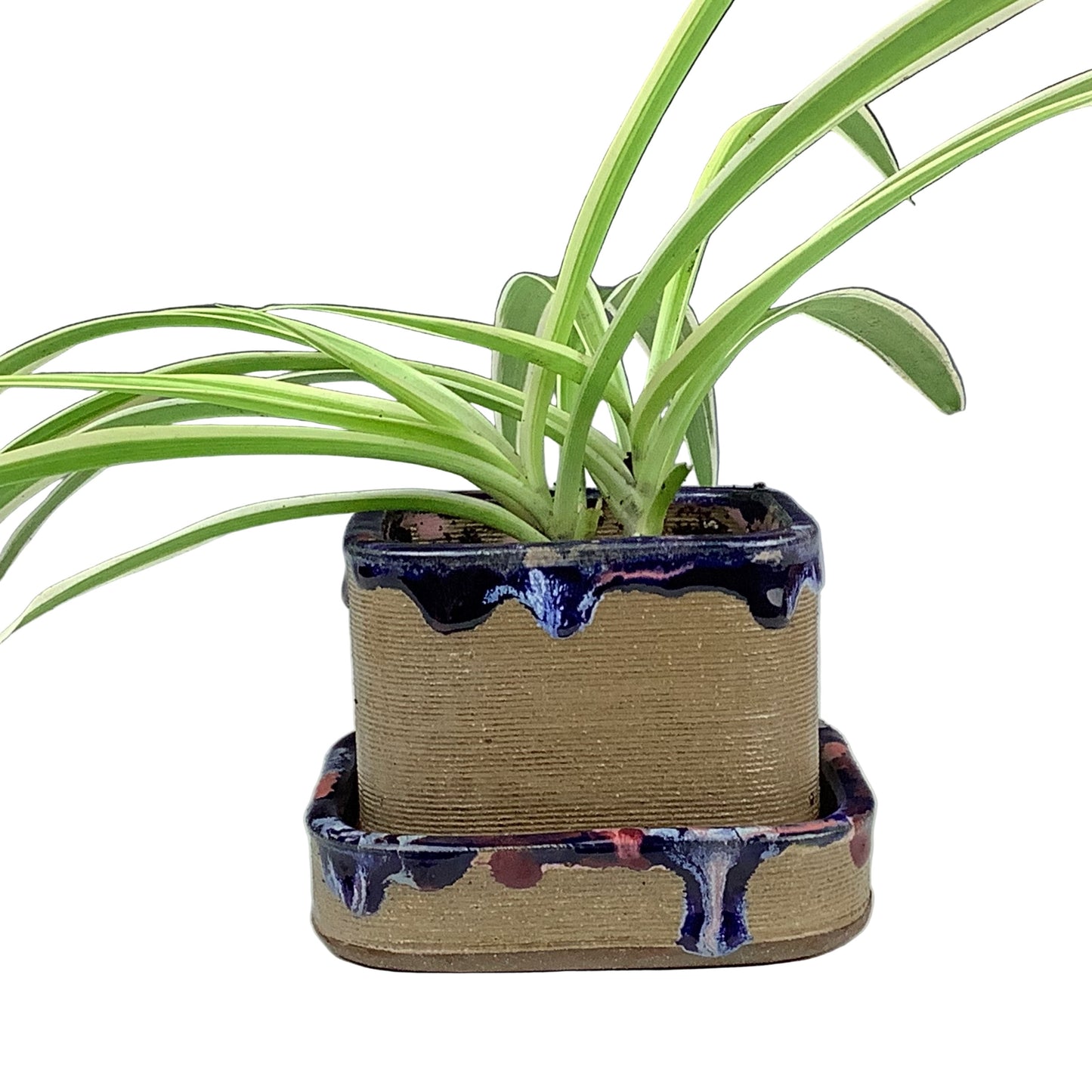 Matt Mitros - Medium Planter #148