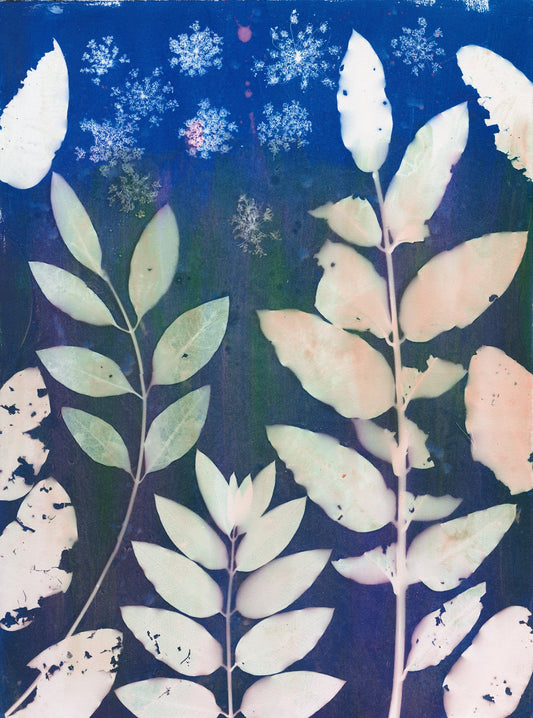 Lucie Wellner - Solar Milkweed